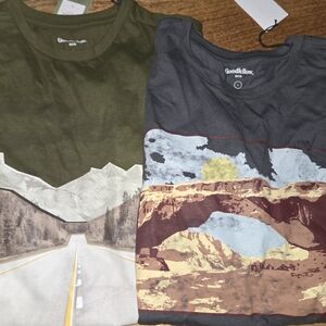 Goodfellow & Co Men's Scenic Tees - Olive and Charcoal